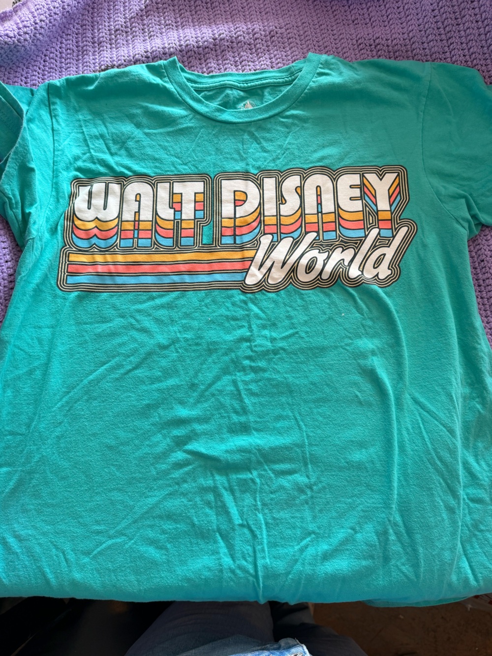 Disney Parks Walt Disney World Retro Rainbow Graphic T-Shirt Adult Large Teal